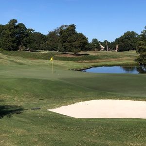 Meet your Posher, Cody